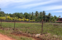 Condomínio em Itacaré Bahia